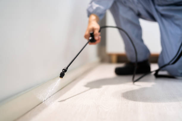 Licensed Termite Control service in Orange City, FL - Nex Pest Control