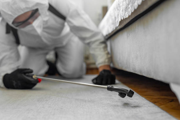 Professional Termite Control technician working in Orange City, FL
