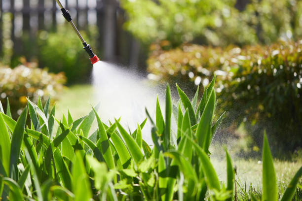 24/7 Emergency Termite Control experts in Orange City, FL