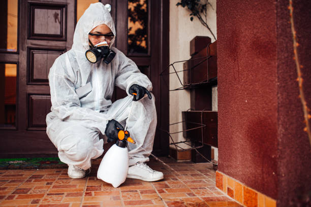 Reliable Termite Control contractor in Orange City, FL by Nex Pest Control